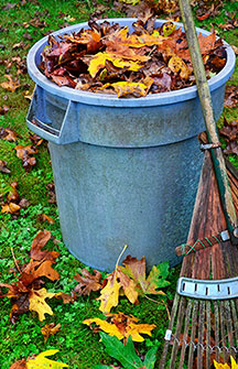 Barrel of leaves and rake.