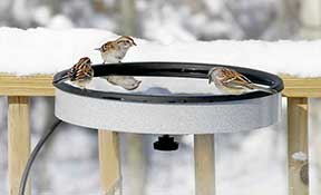 Duncraft.com sells heated water basins for birds
