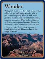 Text above image of a canyon reads, "Wonder is being open to the beauty and mysteries of life. It is our soul's appreciation for what is precious and inspiring. When we look at the grandeur of nature, fully present to the moment, it can move us deeply. When we live reflectively, we delight in the signs and wonders that appear in our lives. We are alert to synchronicities that point us toward a decision or give us deeper insight into the truth. Wonder makes our lives simply wonderful."