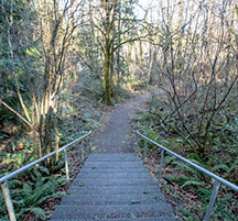Bluffs Park trail