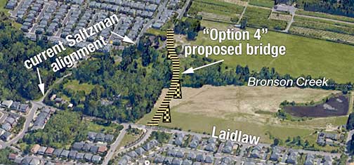 Current Saltzman alignment vs. proposed bridge (option 4)