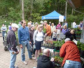 Gardeners flocked to last year's plant sale!