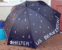 shelter us umbrella