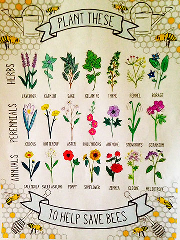 bee plant poster