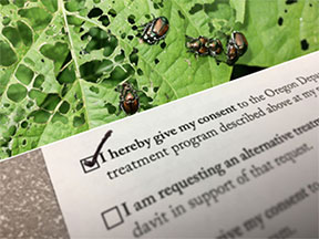 Japanese beetle treatment consent form