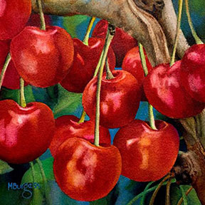 Juicy Fruit: cherries, by Mary Burgess