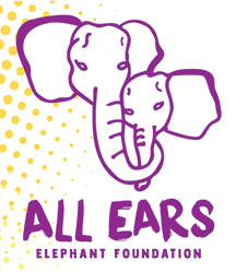 all ears elephant foundation logo