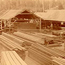 The Old Mill at Cedar Mill—1859-1892