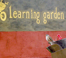 PCC learning garden