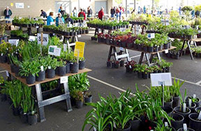 The Aloha Garden Club sale is held in a covered area