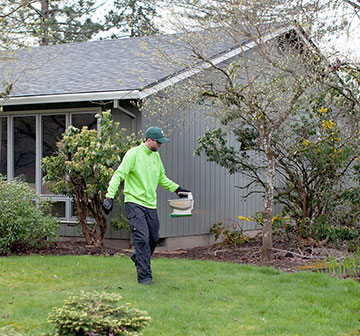 An ODA contractor sprinkles the larvicide on a lawn in the Oak Hills neighborhood. It will kill the eggs and larva that are laid this summer.