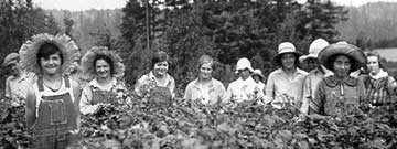 berry pickers