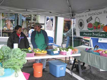 adelante agricultura