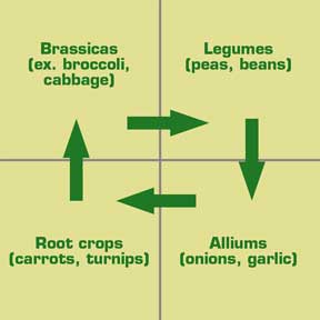 Crop Rotation Diagram