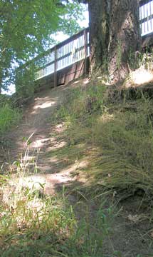 Cedar Mill Falls Trail