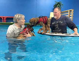 Dog swimming lessons.