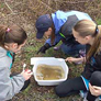 The Cedar Mill Wetlands and What We Did