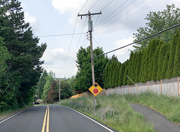 The pole in question on Leahy Road is very close to the sidewalk. Leifeld's house is behind the row of junipers.