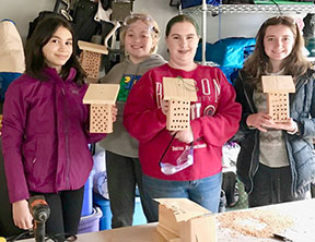 Girl Scouts Bee project