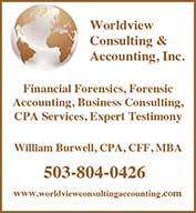 World View consulting ad