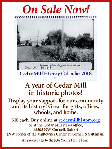 2018 History Calendar