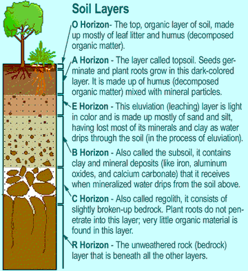 soil layers