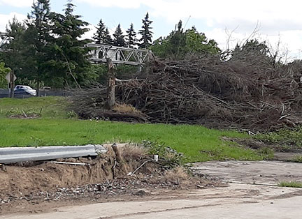 After numerous appeals that have been denied by Beaverton, Life Time contractors have begun clearing vegetation and demolishing existing buildings on the site of their new work/fitness center at the southeast corner of Cedar Hills Bl. and Barnes. We have no information about their schedule.