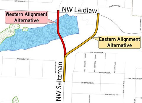 Saltzman alignment options map