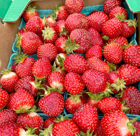 strawberries