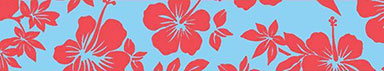 hibiscus on blue background