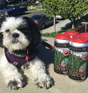 dog with beer cans