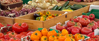 tomatoes at farmers market