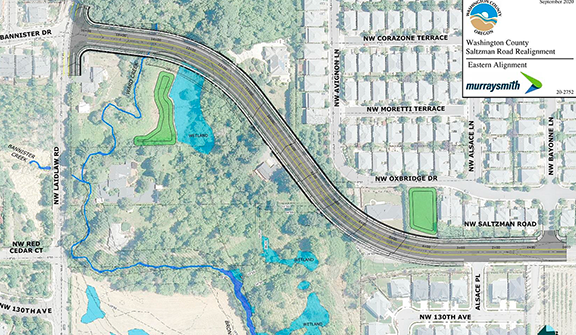 Saltzman East Plan