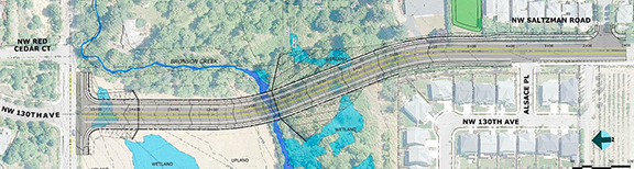 Saltzman West Plan