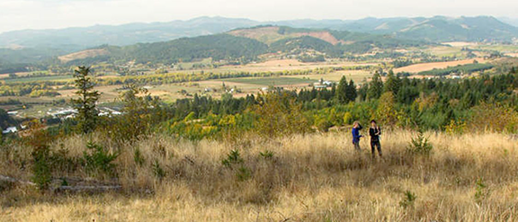 chehalem ridge vista