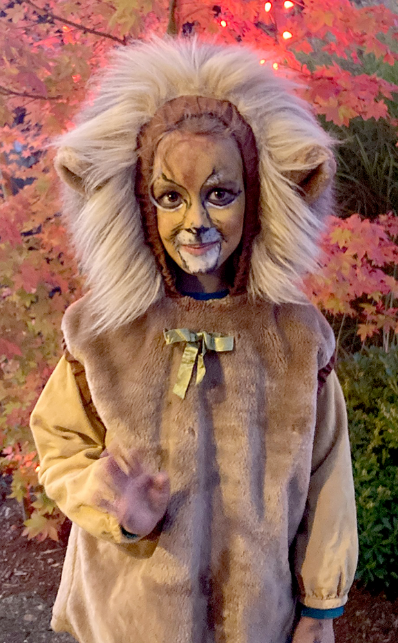 lion costume