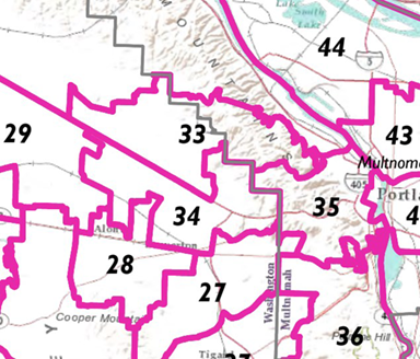 Redistricting map B