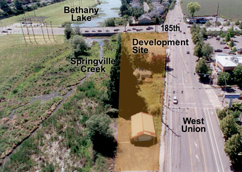 wetland overview