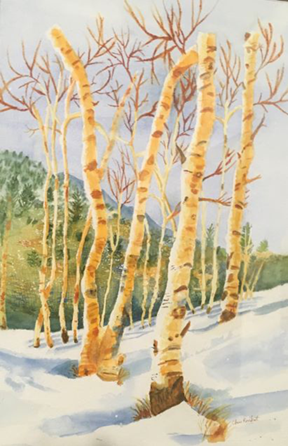 Big, Bold Painting by Chris Kondrat: "Birches." Watercolor with shadows to highlight snow.
