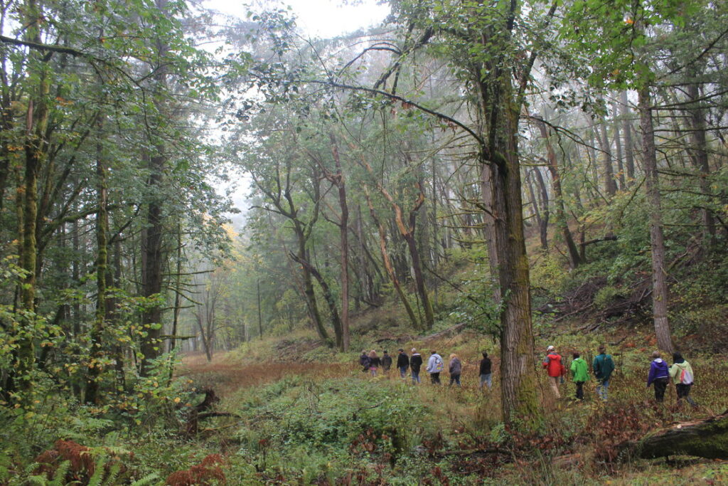 Chehalem Ridge Nature Park