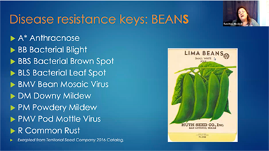 disease resistant lima beans
