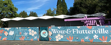 wow & flutterville banner
