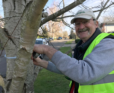 tree inventory