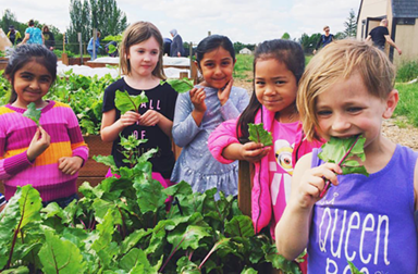 kids eating veggies