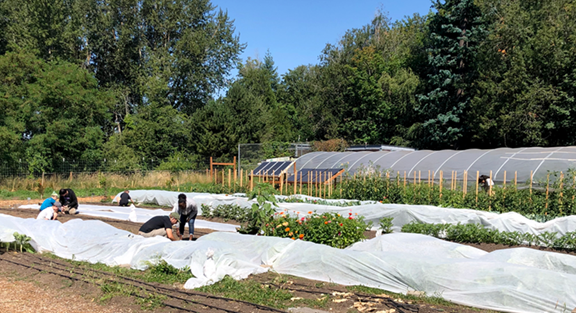 Hoop houses and greenhouse at Terra Nova