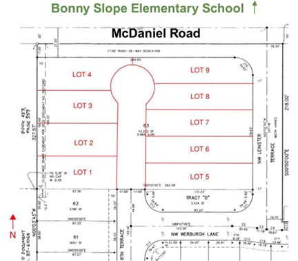 mcdaniel road development map