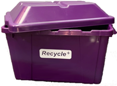 purple recycling bin