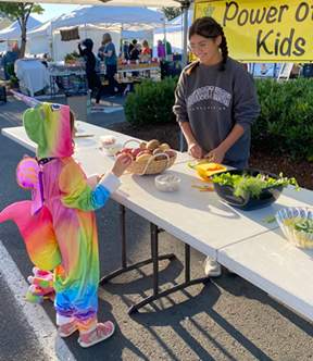 farmers market