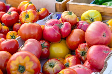 “Big Beef” and “Lemon Boy” Tomatoes