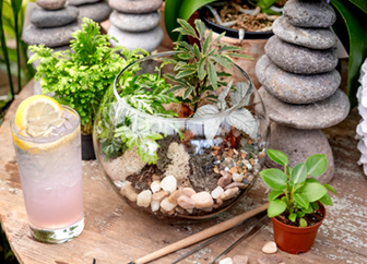 houseplant terrarium and drink for plant and sip event